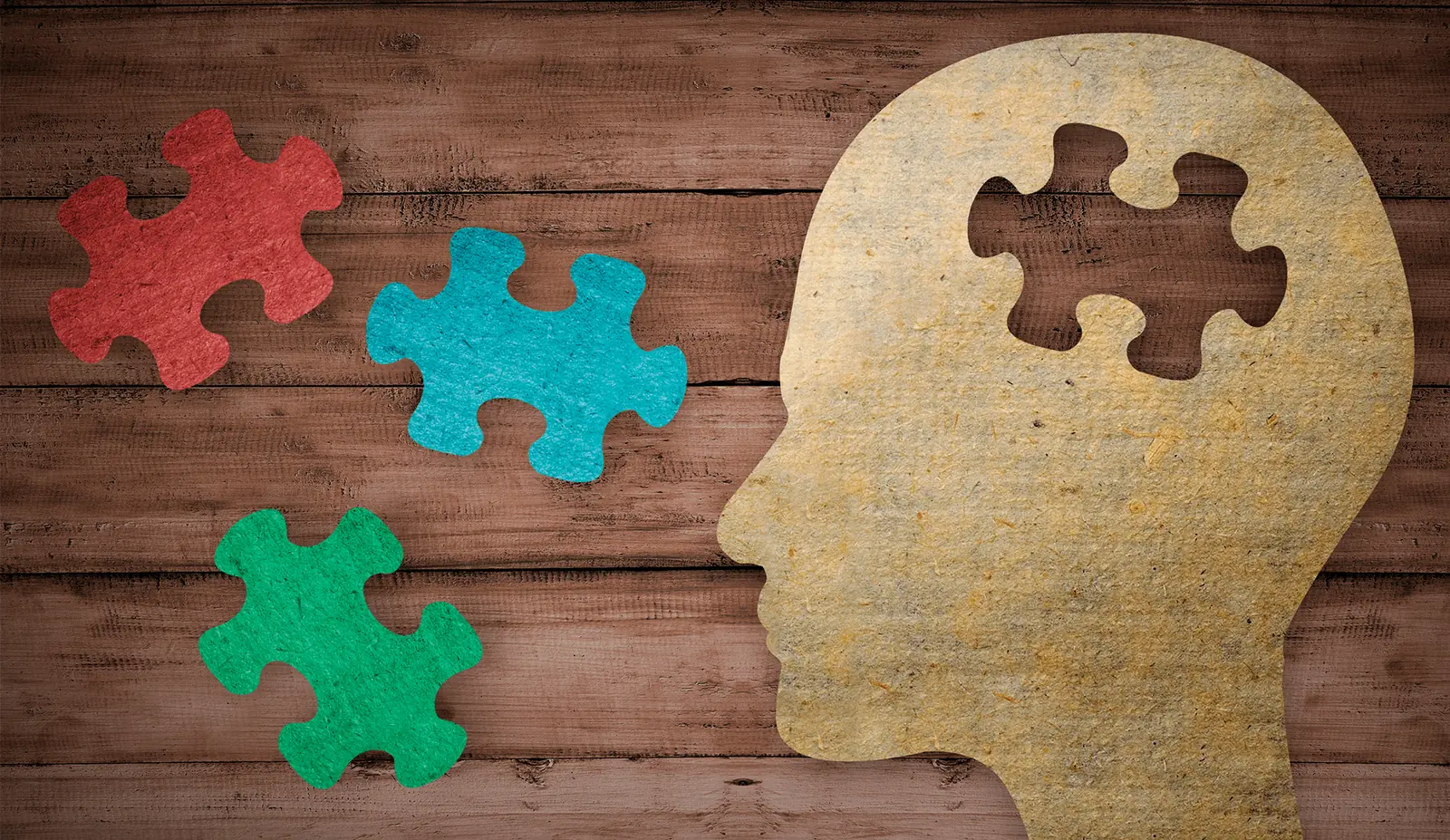 software development 